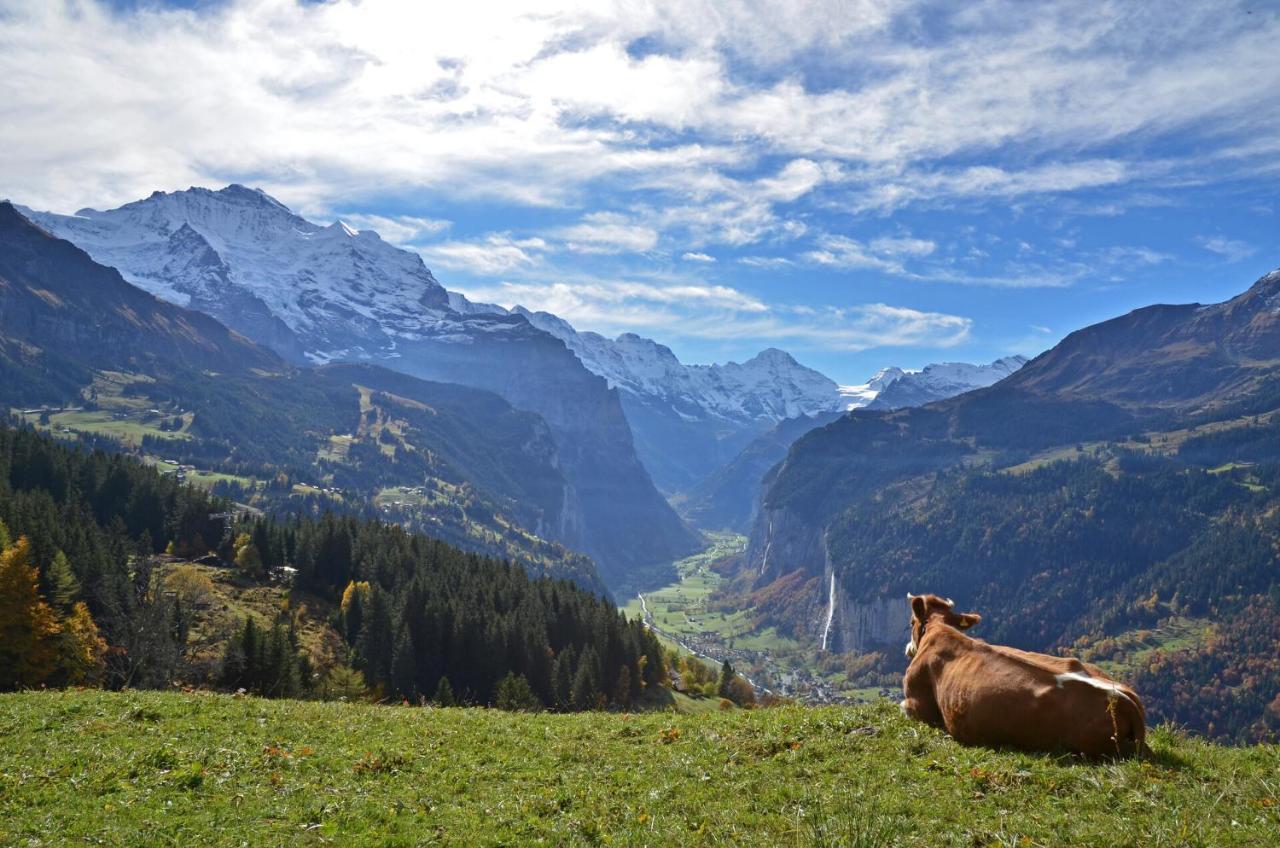 Hotel Victoria Lauberhorn Wengen, A Faern Collection Hotel Екстериор снимка